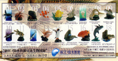 新江ノ島水族館立体生物図鑑１”概要: 小さなおまけの部屋